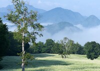 高原の目覚め