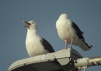 漁港にて
