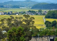 真夏日の城下Ⅱ