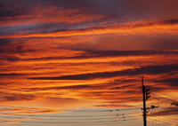 キレイに染まった夕べの雲