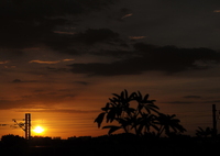 夕暮れ