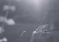 film・晩夏*
