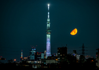 スカイツリーと月