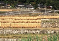 里の秋景色～