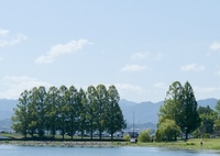 秋の空