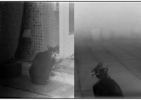 Waiting..  (Film)