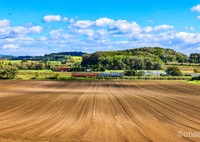 畝り、浮かび、走る