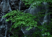 Ryūsōgataki