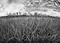2025-08-18_0049