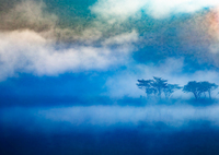 湿原ファンタジア