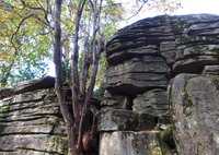 野呂山古代遺跡