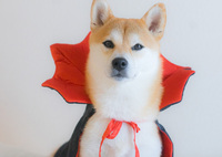 ハロウィンコス