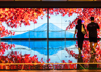 日本の秋風景..