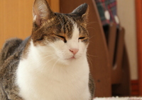 おてて無い無い