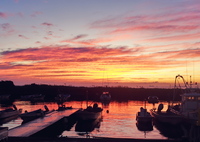 朝のシルエット