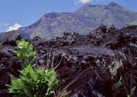 バトゥール山と溶岩原