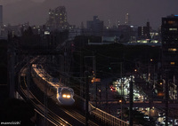 テールランプが足りん。