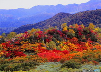 大雪山のパレット