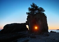 あなたへ続く光の道