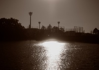 本格的な秋はまだ。