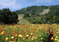 座席は自由に選んで下さいね