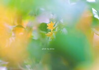 秋みつけました♡