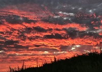 ♬　夕焼空が真っ赤っか