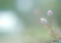 「思いがけない出会い」