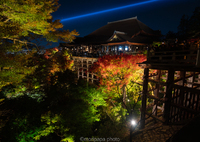 今年は秋ライトアップ期間が変更。