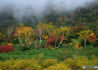雲に覆われる前に...