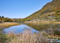 覚満淵の紅葉②