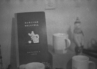 film 30年前に消費期限の切れたカラーフィルム使ってみた