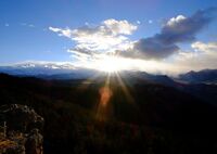 Yellow stone national park