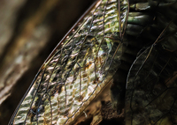 あの夏の煌きとともに。。