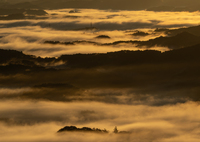 九十九谷　朝霧