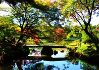 秋の庭園③