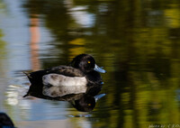 なんか良からぬことを考えていそうな