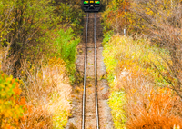 錦秋のジェットコースター