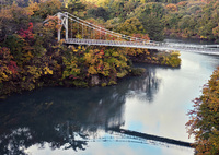 臆病者の秋景色