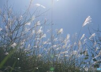 晴れ渡る秋空の下で