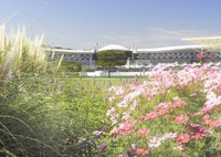 草木花 公園散策