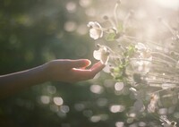 film・愛はスローにちょっとずつ*