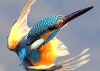 やってきたぞ！