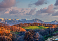 緑と黄葉の記憶