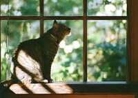 film・年を重ねて知ること*