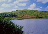 ワインガプ郊外