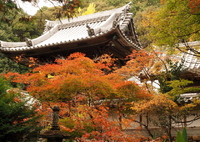 好きなお寺さん