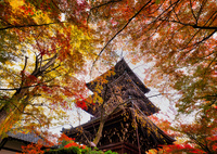 真如堂　三重塔