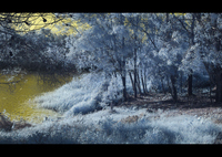 赤外線パラダイス公園