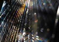 いつまでも光はやさしく、愛おしく。。